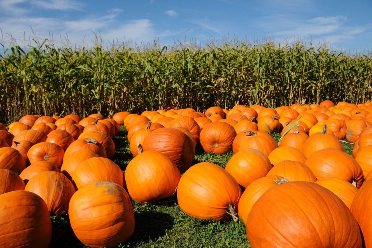 Fall events in Central Florida
