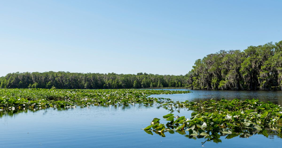 Winter in Central Florida family-friendly outdoor activities by the lake